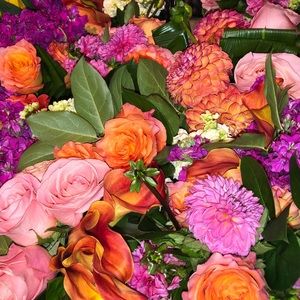 Meet your Posher, Kella